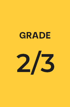 Grade 2/3